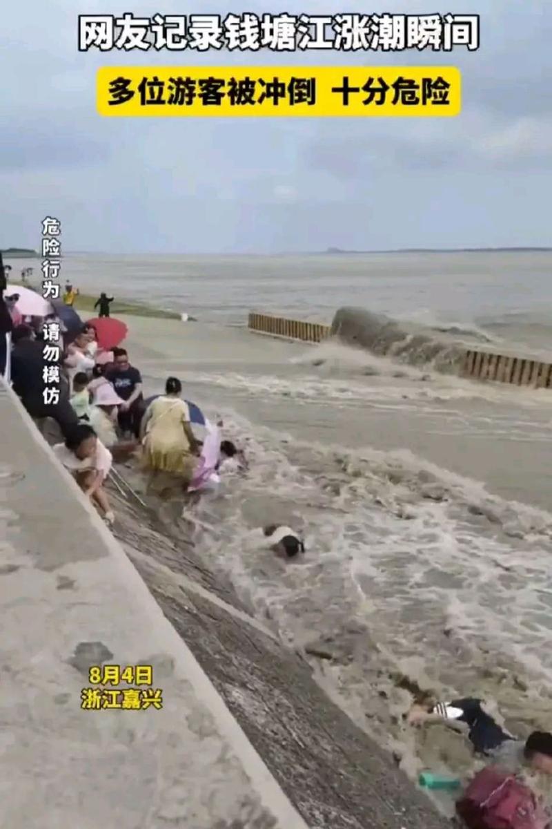 钱塘江涨潮多位游客被冲倒的相关图片